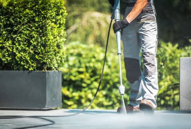 Best Driveway Pressure Washing  in Port Hueneme, CA