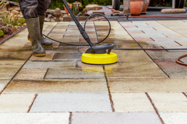 Best Animal Enclosure Cleaning  in Port Hueneme, CA